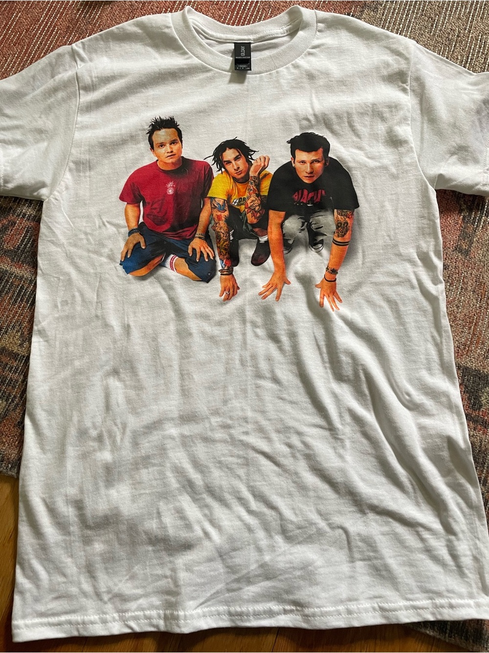 Blink 182 Mark Tom Travis Show 2000 Tour
